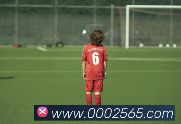 多彩内容专区